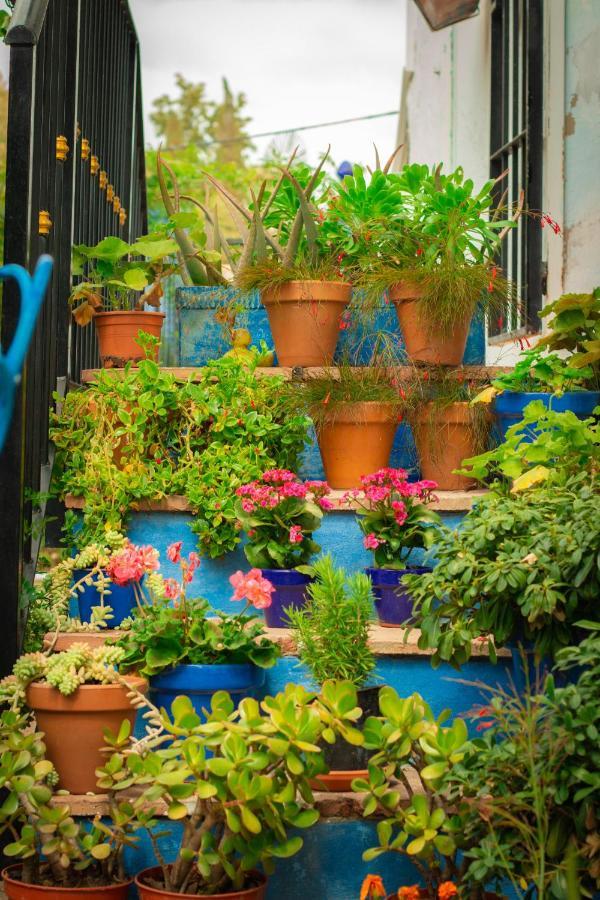 Bohemian Villa - Malaga Alora Exteriér fotografie